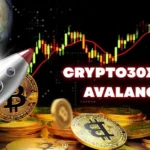 Crypto30x.com Avalanche