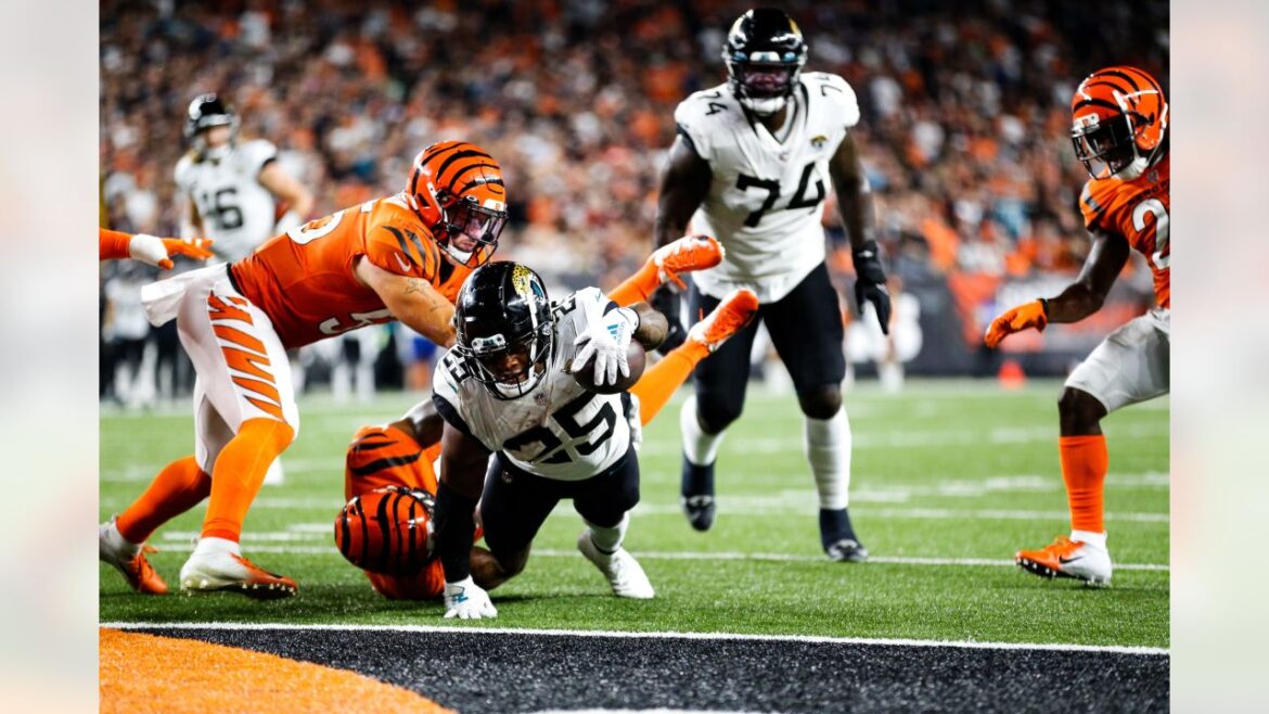 Jacksonville Jaguars vs Cincinnati Bengals Match Player Stats